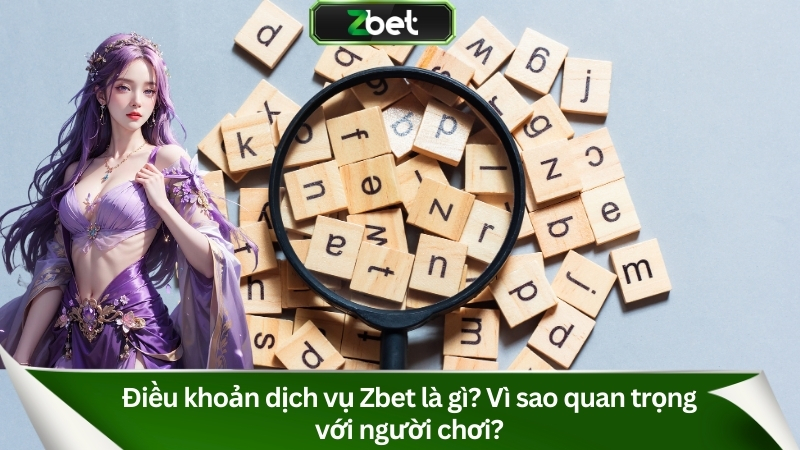 Điều khoản dịch vụ Zbet là gì? Vì sao quan trọng với người chơi?